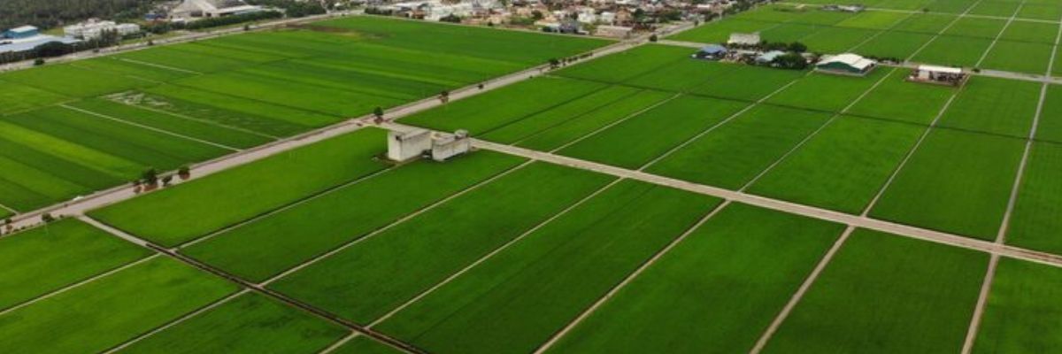 Sobha Vrindavan Premium Plots Banner Image